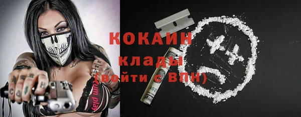твердый Абаза