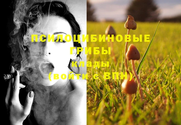 бутират Алексин