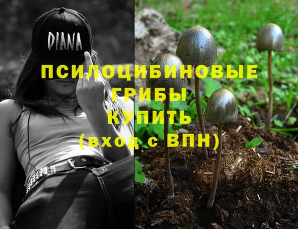 стаф Абдулино