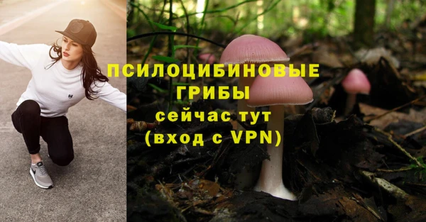 спиды Алексеевка
